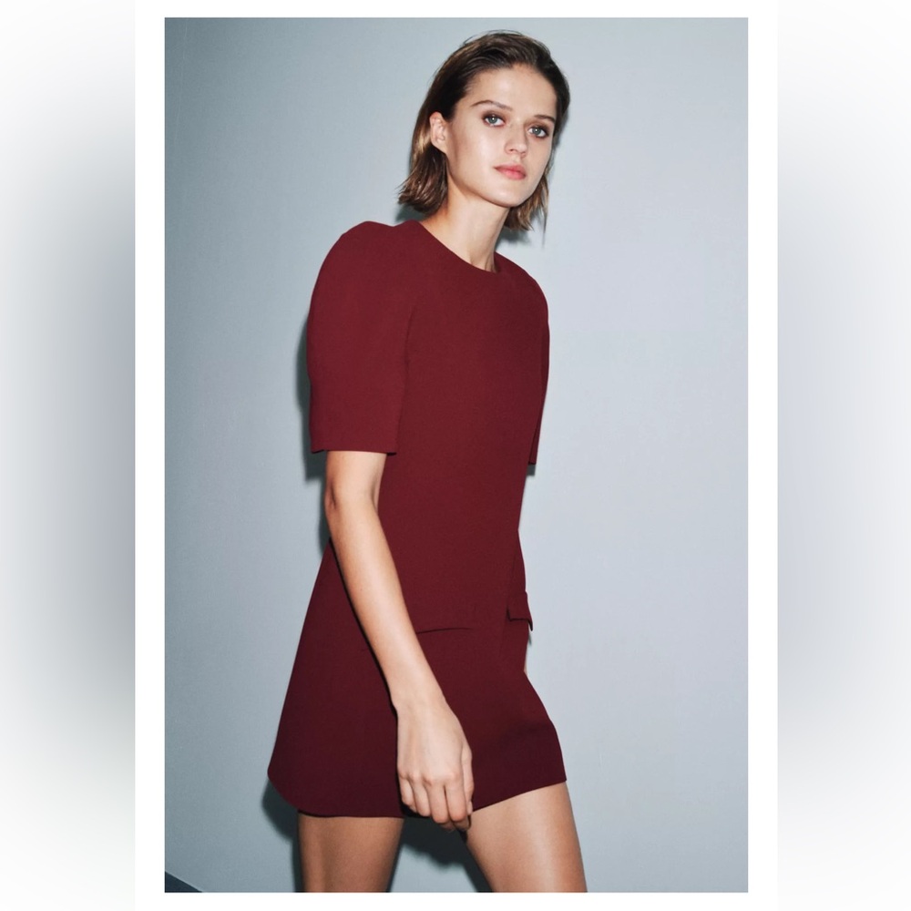 Zara Burgundy Mini Dress